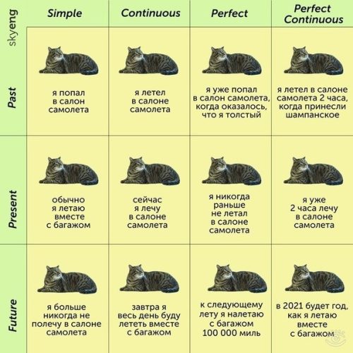 Tenses with cats rus