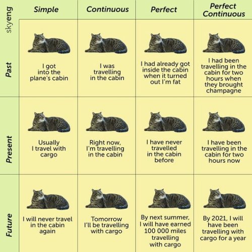 Tenses with cats